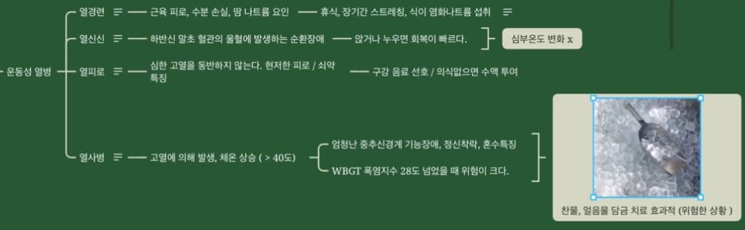 고온 환경 운동
